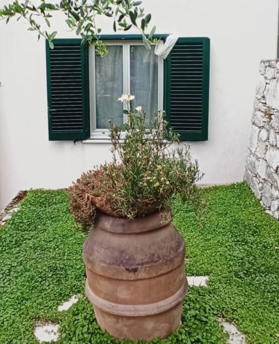 Apartamento La Piazzetta Di Gra E Baldo Sestri Levante Exterior foto